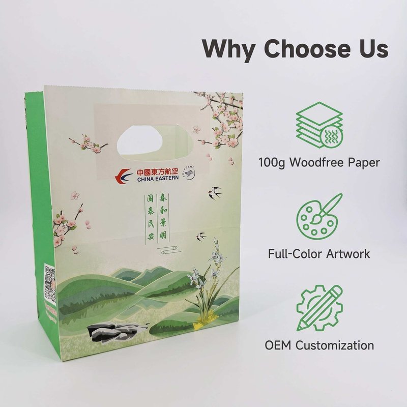 Custom Printed Airline Paper Carry Bag with Handle Holes – 100g Bulk &amp;amp;amp;amp;amp; OEM - image 2