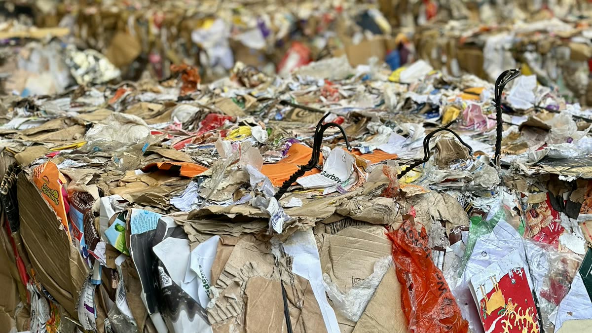 Responsabilité environnementale des emballages au Royaume-Uni : Que signifie la méthodologie de recyclabilité 2027 pour les acheteurs d’emballages alimentaires ?